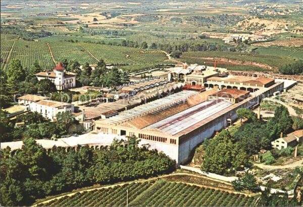 Wein Cavas Codorniu