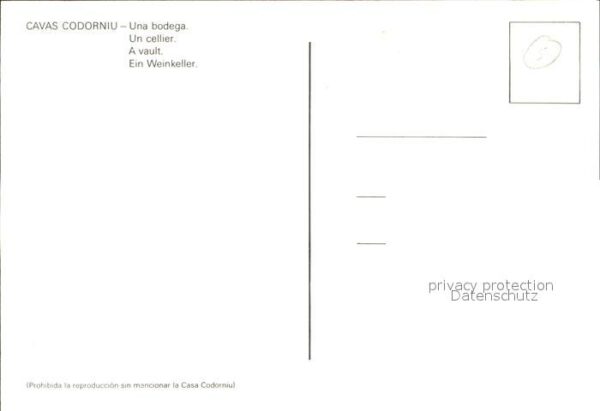 Wein Weinkeller Cavas Codorniu Bodega – Bild 2