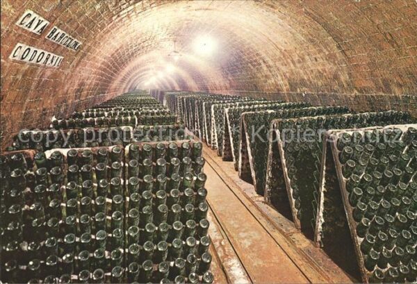 Wein Flaschen in Pulten Cavas Codorniu Botel