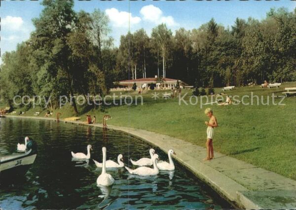 Buxheim Memmingen Camping See Schwäne