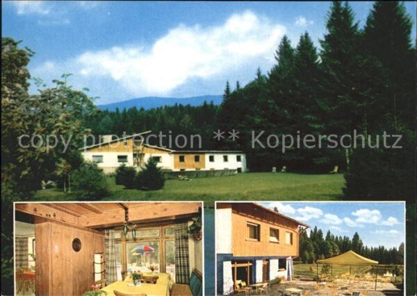 Zwieslerwaldhaus Waldhotel Haus Falkenstein