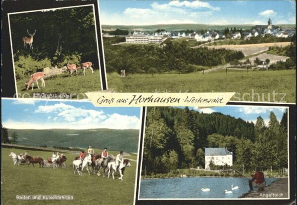 Horhausen Westerwald Reiten Kutschfahrten