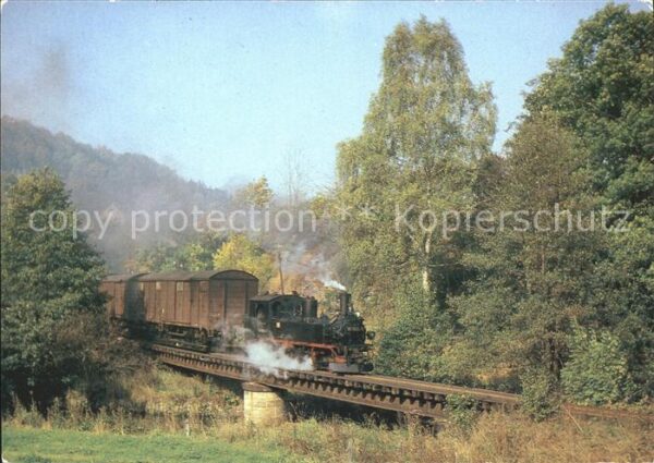 Lokomotive 99-1585-1 Güterzug Preßnitztal Streckew