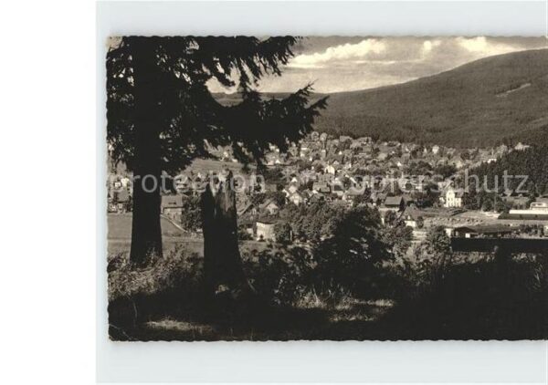 Braunlage Adamsblick