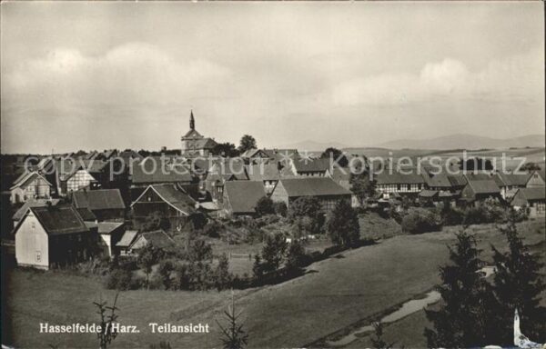 Hasselfelde