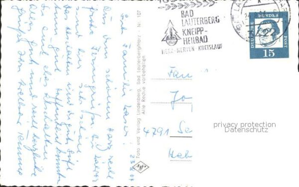 Lauterberg Bad Kuhherde im Halbeck – Bild 2