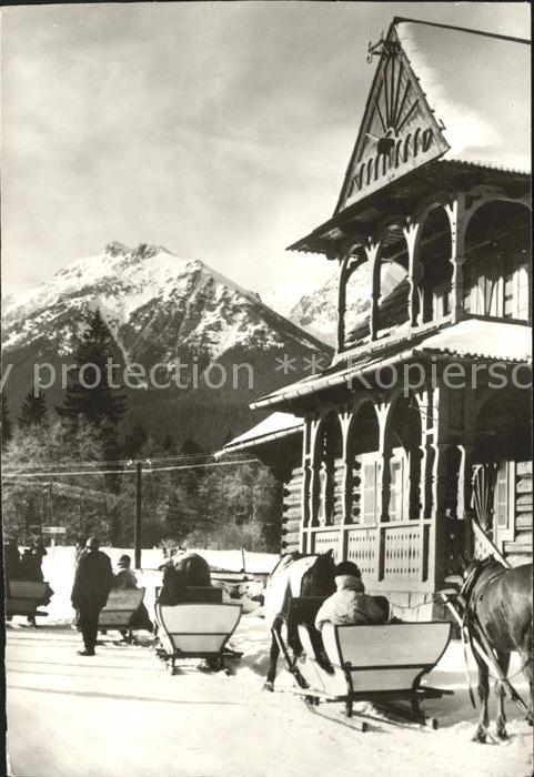 Hohe Tatra Lysa Polana Pferdeschlitten