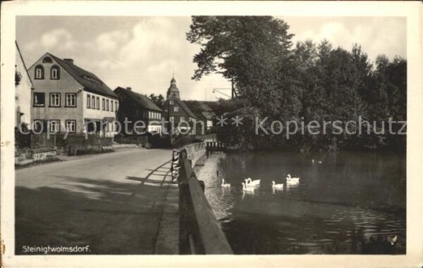 Steinigtwolmsdorf Am Teich mit Schwänen