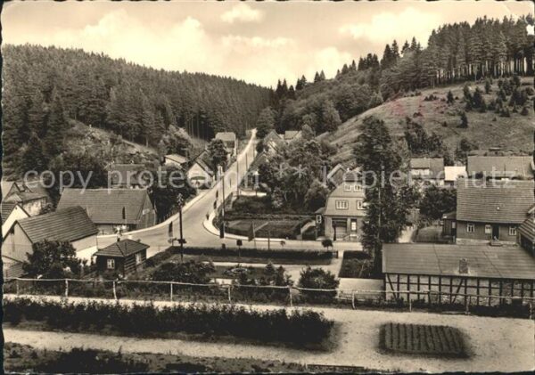 Tanne Harz