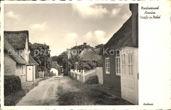 Nebel Amrum Strasse