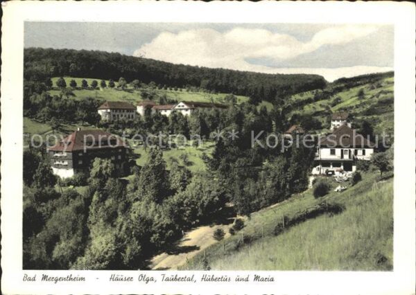 Bad Mergentheim Häuser Olga Taubertal Hubertus und Mari