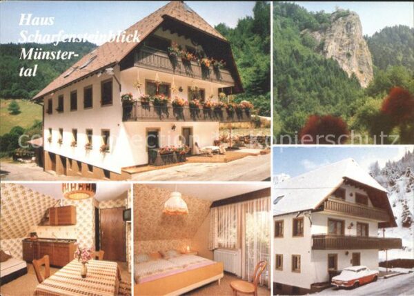 Muenstertal Schwarzwald Haus Scharfensteinblick Zimmer Felsform