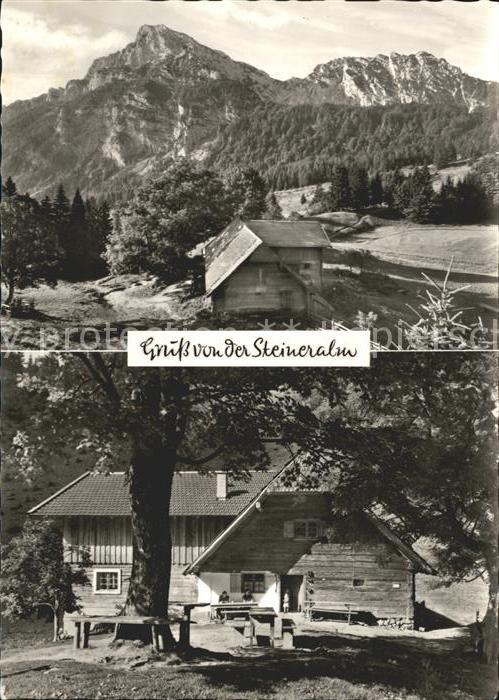 Piding Steineralm mit Hohenstaufen und Mittels