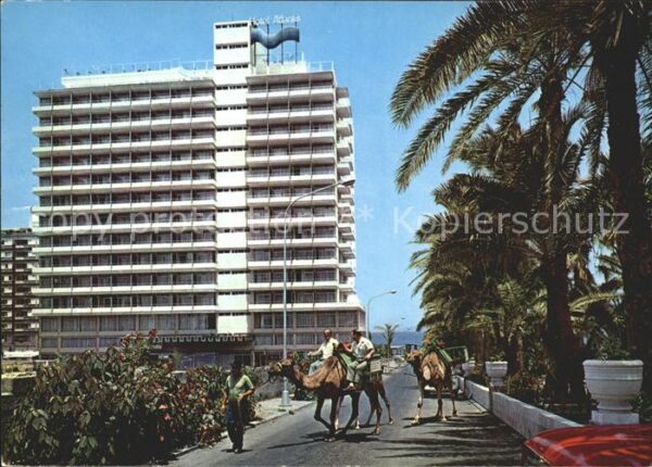 Puerto de la Cruz Kamel Spazierritt