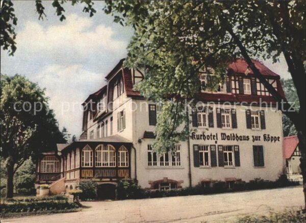 Bad Klosterlausnitz Kurhotel Waldhaus zur Köppe