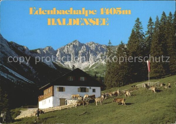 Haldensee edenbachalpe