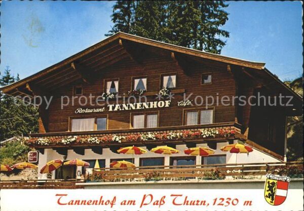 Mittersill Oberpinzgau Tannenhof am Pass