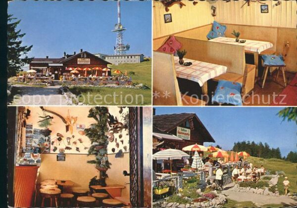 Salzburg Oesterreich Berggasthof Gaisbergspitze
