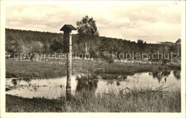 Schwenningen Neckar Neckarursprung im Schwenninger Moos