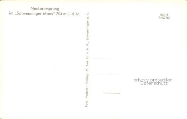Schwenningen Neckar Neckarursprung im Schwenninger Moos – Bild 2