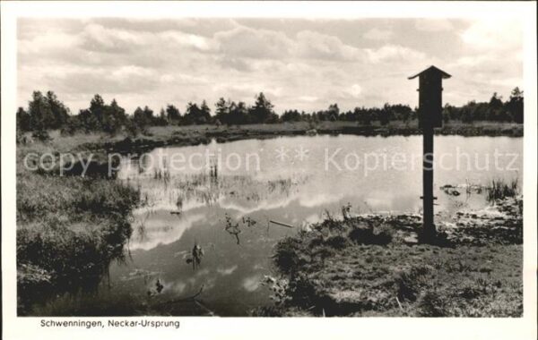 Schwenningen Neckar Neckarursprung im Schwenninger Moos