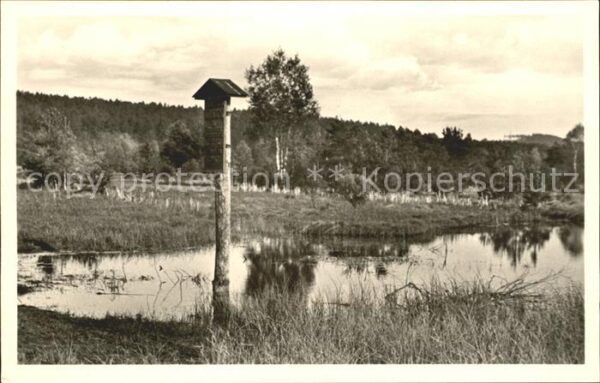 Schwenningen Neckar Neckarursprung im Schwenninger Moos