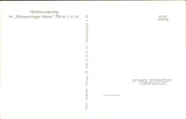 Schwenningen Neckar Neckarursprung im Schwenninger Moos – Bild 2