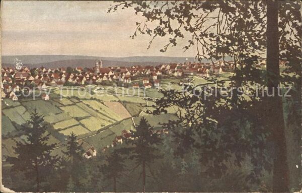 Freudenstadt Stadtblick