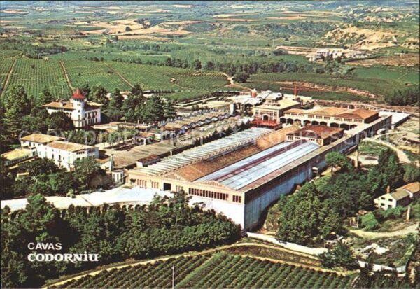 Codorniu Totalansicht