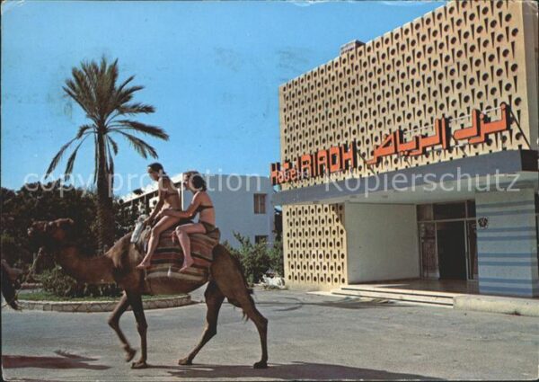 SOUSSE  Tunesie Hotel Riadh Kamelreiten