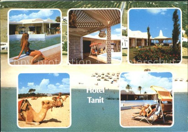 Hammamet Hotel Tanit Swimmingpool Strand Bungalo