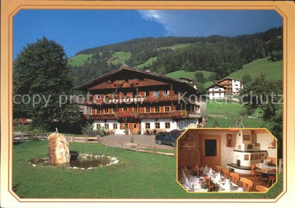 Wildschoenau Tirol Oberau Steinerhof