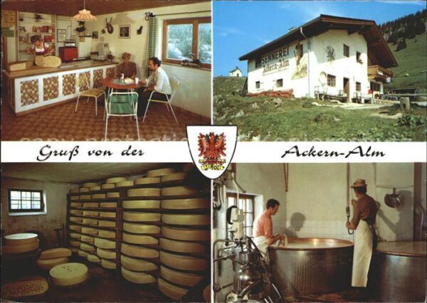 Thiersee Ackern Alm Käserei