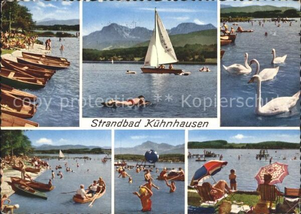 Kuehnhausen Waginger See Strandbad mit Hochstaufen Schwäne