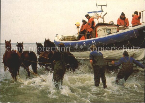 Ameland lancering reddingsboot paarden
