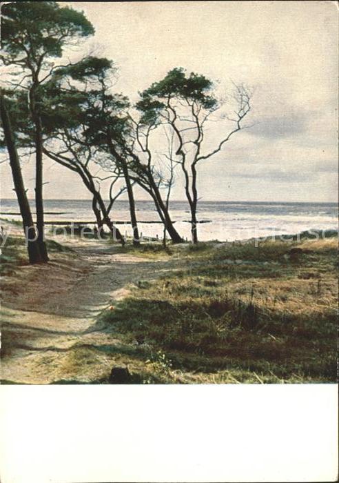 Ahrenshoop Ostseebad Vordarss