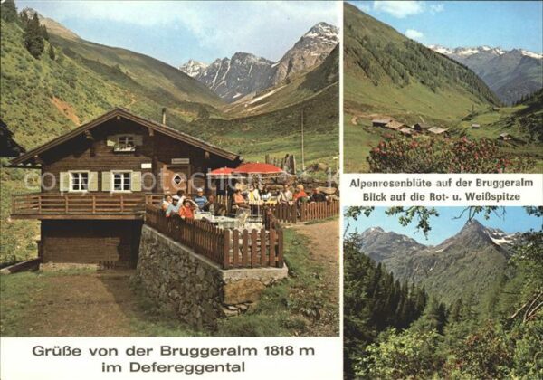 Defereggental Tirol Bruggeralm Alpenrosenblüte Rot Weissspi