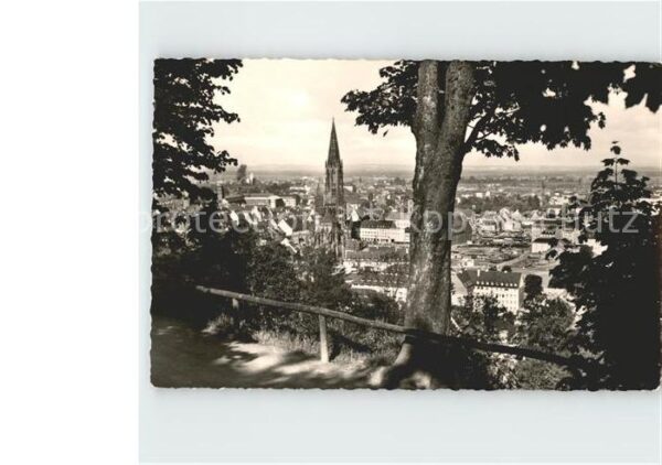 Freiburg Breisgau Blick vom Schlossberg Münster