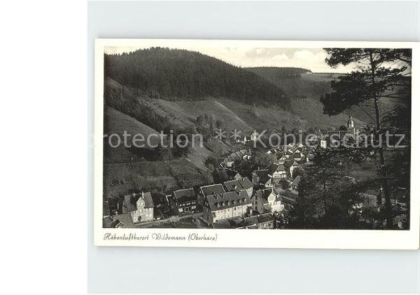 Wildemann Ortsblick