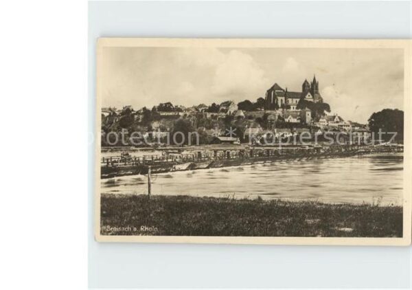 Breisach Rhein Münster