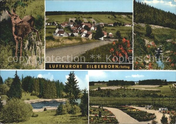 Silberborn