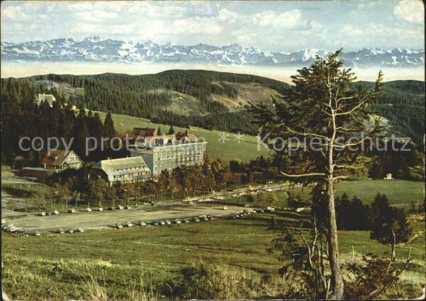 Feldberg Schwarzwald Hotel Feldbergerhof