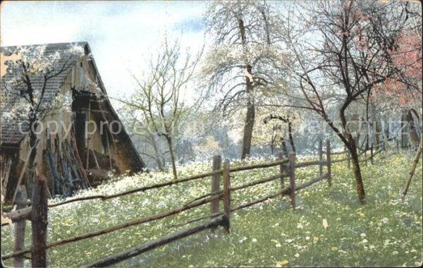 Verlag Photochromie Nr. 1588 Sennhütte