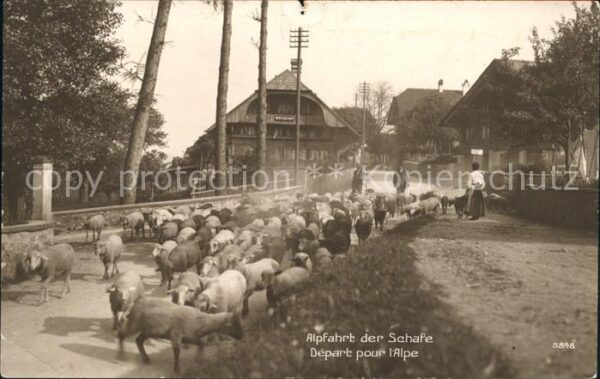 Schafe Alpfahrt