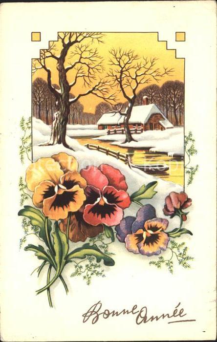 Neujahr Stiefmütterchen
