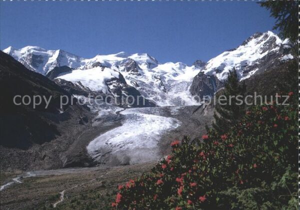 Gletscher Val Morteratsch Berninagruppe