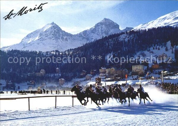 Pferdesport Pferderennen Reitsport St. Moritz St. Moritzersee