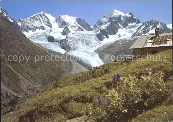 Gletscher Alp Ota Piz Bernina Piz Roseg