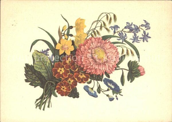 Blumen Frühlingsblumen Künstlerkarte E. Reinha