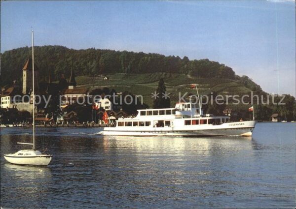 Motorschiffe MS Niederhorn Thunersee Spiez